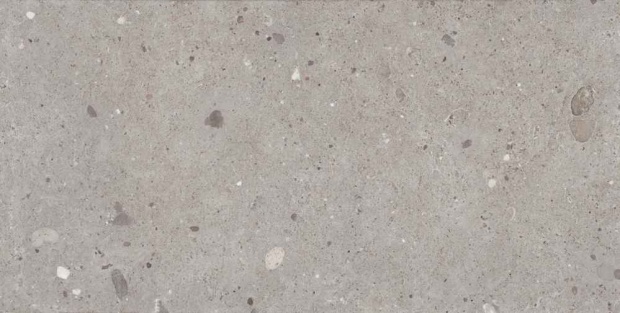 Provenza Ego Naturale Rett. Grigio 60X120