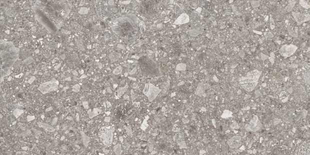 Provenza Lombarda Nat. Rett. Grigio 60X120